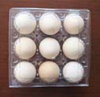 河南郑州现货供应10枚鸡蛋盒透明盒子