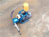 供应DRB-PM）电动润滑泵