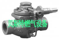 供应供应ILR-2050A/LPG调压器/LPG减压阀/液化气调压器