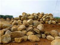 Supply of yellow wax stone pebbles stone cristobalite Taihu and other landscape