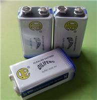 供应6LR61  9V碱性电池