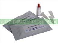 Detection of pseudorabies virus antibodies in pigs Card