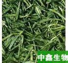 现货供应优质绿茶提取物