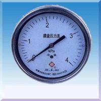 供应膜盒压力表YE-60B/YE100B/YE150-B