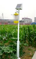 北京西城太阳路灯路灯供应工程 厂家直销太阳能杀虫灯 太阳能杀虫灯厂家