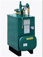 供应EMSON壁挂式电热式气化器+液化气气化器生产厂家有防爆合格证的气化器,可提供上门安装