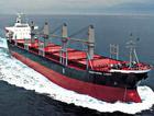 青岛-那瓦什瓦国际海运|中东--印巴航线|印度货代|冻柜货运代理|拼箱物流