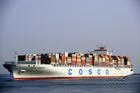 供应青岛--纽约国际海运|美加航线|青岛优势货代|一级代理|美国