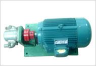 供应DHB点火油泵/增压燃油泵/艾克泵业