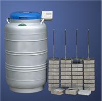 大容器液氮罐 YDS-110-290F