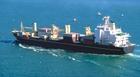 供应青岛-布什尔国际海运|中东-印巴航线|优势货代|货运代理|物流拼箱|伊朗
