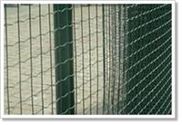 供应PVC涂塑荷兰网，波浪网，PVC丝网，涂塑丝网，电焊网，小区公园围栏网,护栏网卷
