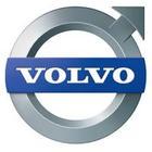 Supply Volvo belt 20,430,381