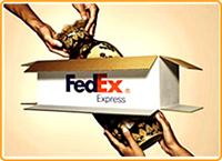 供应国际快递DHL，EMS国际快递，UPS快递，FEDEX快递服务