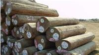 供应北美洲原木木材进口清关代理