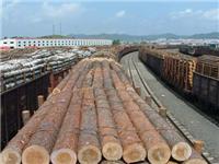 供应肯尼亚原木木材进口清关代理
