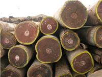 * 桉木 绿檀原木进口进口报关清关代堆场提供代理