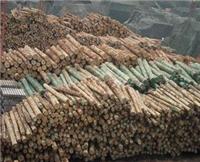 供应加拿大原木木材进口清关代理