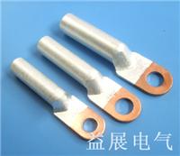 铜铝过渡端子 铜铝接线鼻子 专业生产厂家 益展电气