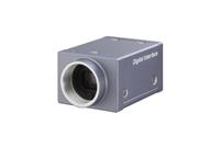 供应XCD-SX90 /XCD-V60 SONY黑白工业相机