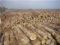 供应希腊原木木材进口清关代理