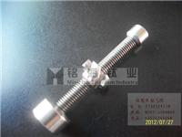 Supply of titanium fasteners, titanium standard parts
