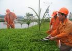 杭州绿化养护公司 专业提供室内外绿化养护绿化服务 昆山绿化养护