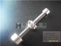 Supply titanium screws, titanium screws Hexagon socket head,