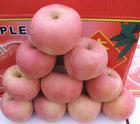 长期大量供应陕西膜袋红富士苹果基地红富士苹果价格行情