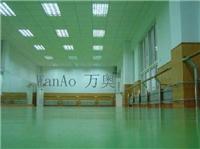 供应舞蹈房PVC地板/羽毛球塑胶地板，乒乓球塑胶地板，篮球塑胶地板
