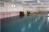 供应舞蹈房塑胶地板.羽毛球运动地板，乒乓球运动地板