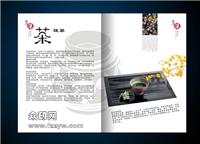 供应莆田宣传手册印刷 公司企业画册设计 福建印刷厂 印制画册