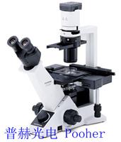 供应武汉奥林巴斯倒置显微镜CKX31/ CKX41