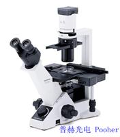 供应三目倒置显微镜CKX41-A32PH 奥林巴斯OLYMPUS