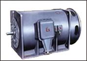 供应YB560-800系列高压中弄隔爆型三相异步电动机