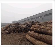 专业木材报价 木材价格 木材加工 就在无锡富万建筑材料