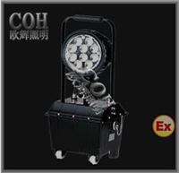 FW6102GF_ explosion-proof work lamp