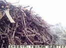 图）山西烧烤果木炭，北京烧烤果木炭厂家，唐山烧烤果木炭/天达
