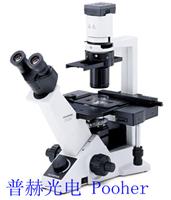 To supplies Olympus CKX41 (trinocular inverted microscope)