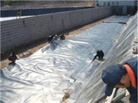 供应汕头建筑排水板车库蓄排水板土工布