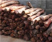 木材进口操作流程|上海木材进口报关|东南亚木材进口报关