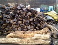 非洲木材进口报关