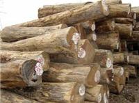 上海木材进口报关|专业木材报关|代理木材清关