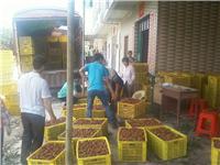 To help the vegetable traders for purchasing green beans