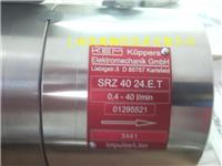 供应德国KEM双螺杆流量计-SRZ系列