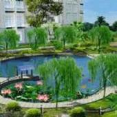 青岛园林绿化设计公司 青岛有园林绿化公司 推荐浩海川