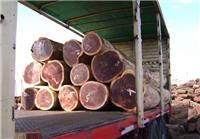 供应广州黄埔港木材进口需要的手续 黄埔港木材进口需要费用 