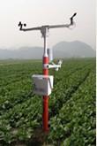 供应FM-WZQ固定式无线农业综合气象监测站