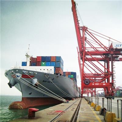 供应中国到印度海运专线门到门服务 海运到印度港口国际海运专线双清