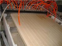 青岛鲁奥专业制造木塑复合门板设备